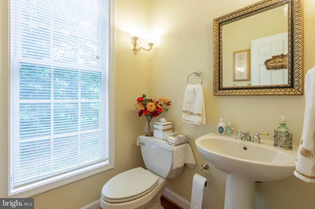 a bathroom with a toilet a sink and mirror