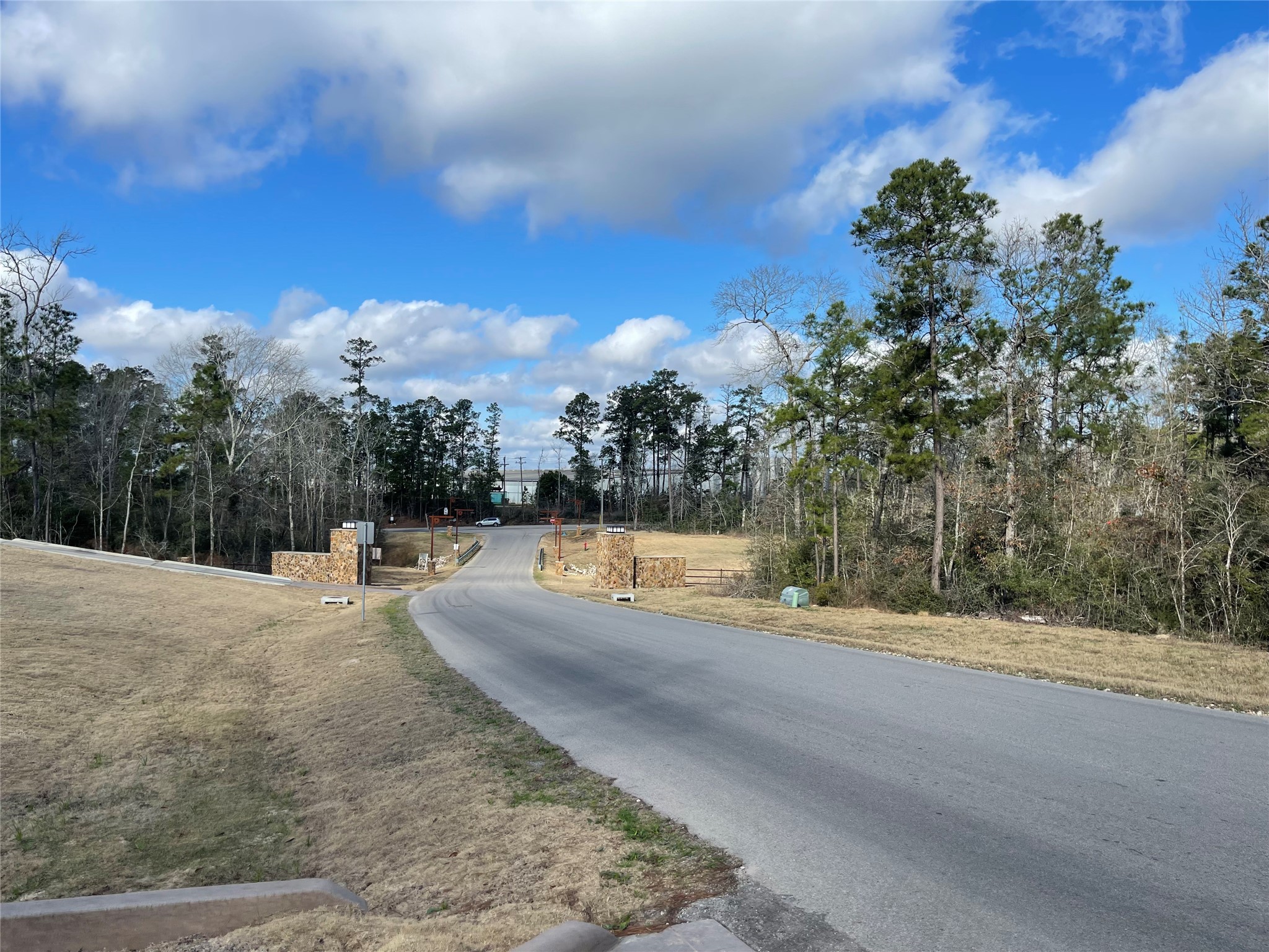 16031 Forest Mill Road Willis, TX 77378 - Photo 9 of 12