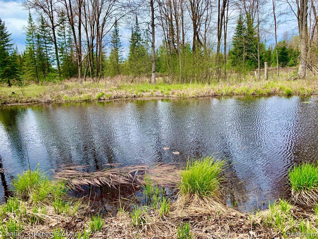 0 East Sugar River Road Alger, MI 48610 - Photo 7 of 50