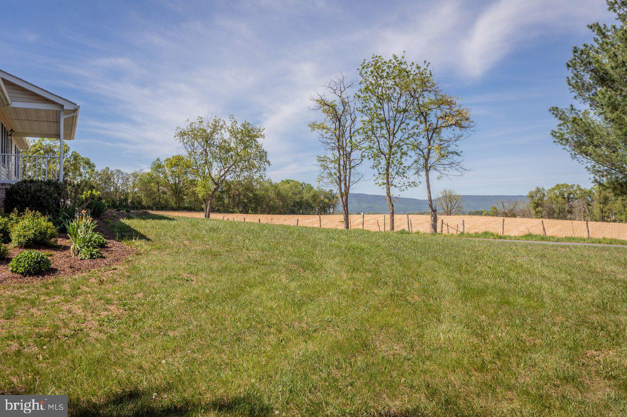 1018 Coffman Road Edinburg, VA 22824 - Photo 6 of 57