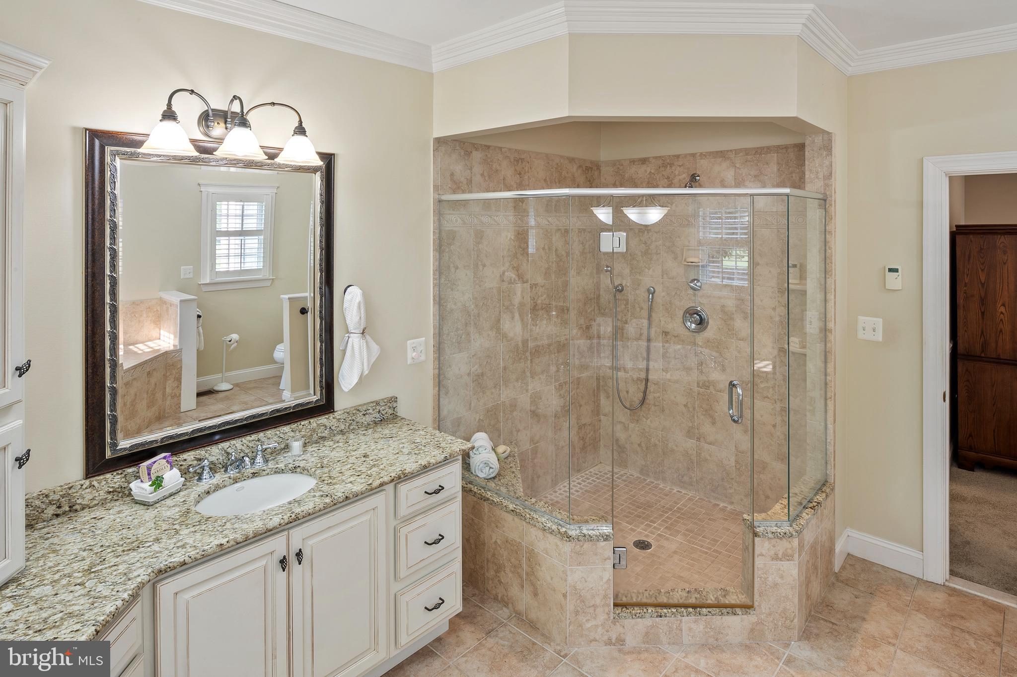 1332 Rossback Road Davidsonville, MD 21035 - Photo 39 of 72 Primary Bathroom (alt view)