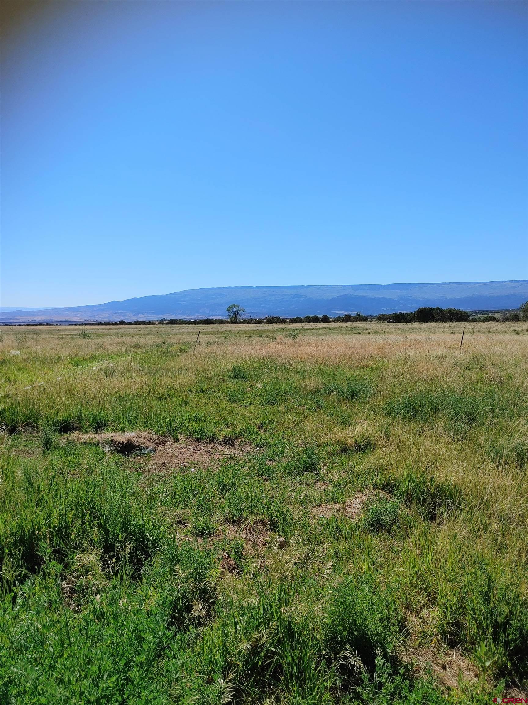 26563 Redlands Mesa Road Hotchkiss, CO 81419 - Photo 12 of 14 a view of an outdoor space and a yard