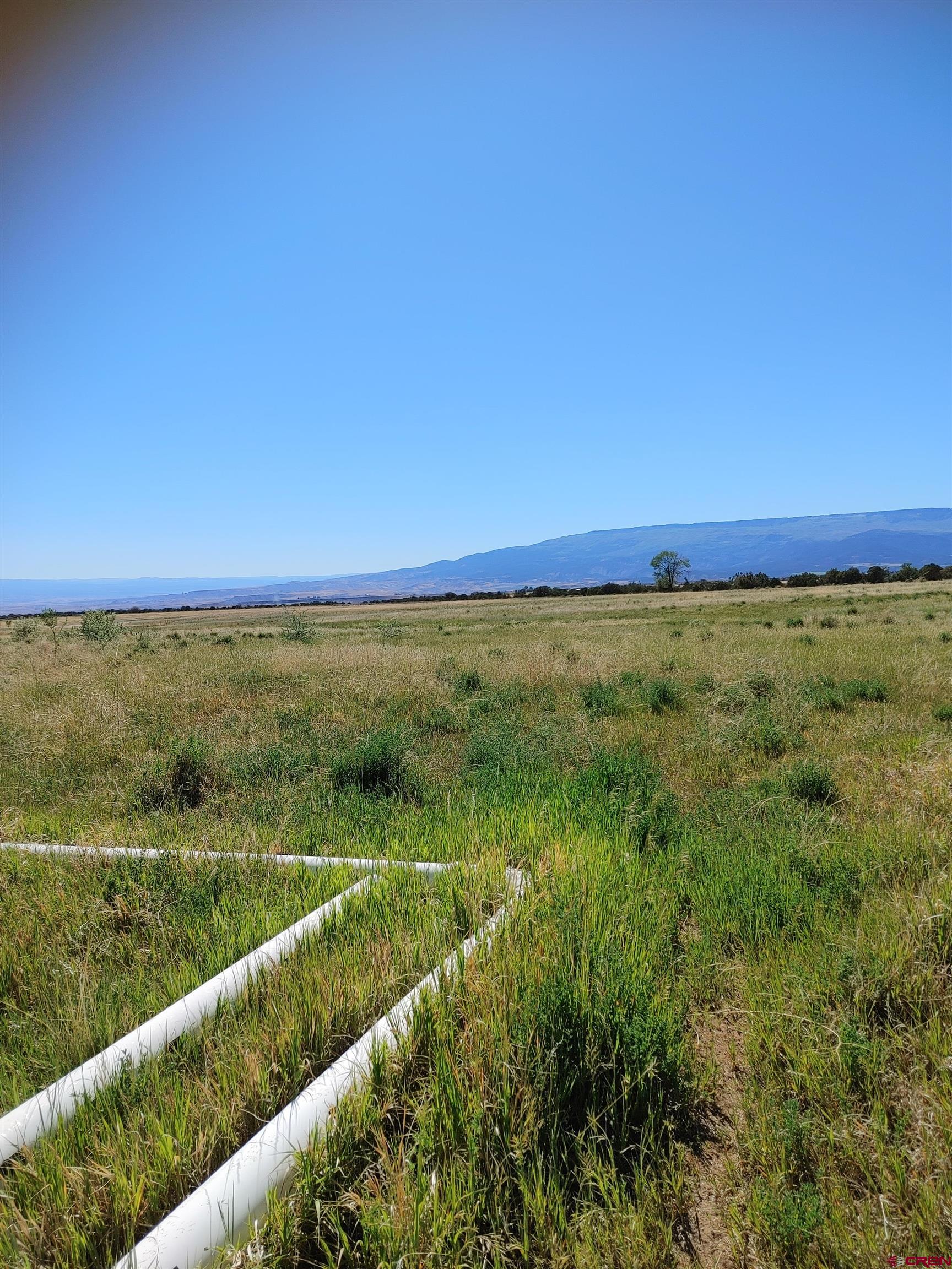 26563 Redlands Mesa Road Hotchkiss, CO 81419 - Photo 13 of 14 a view of a field with an ocean
