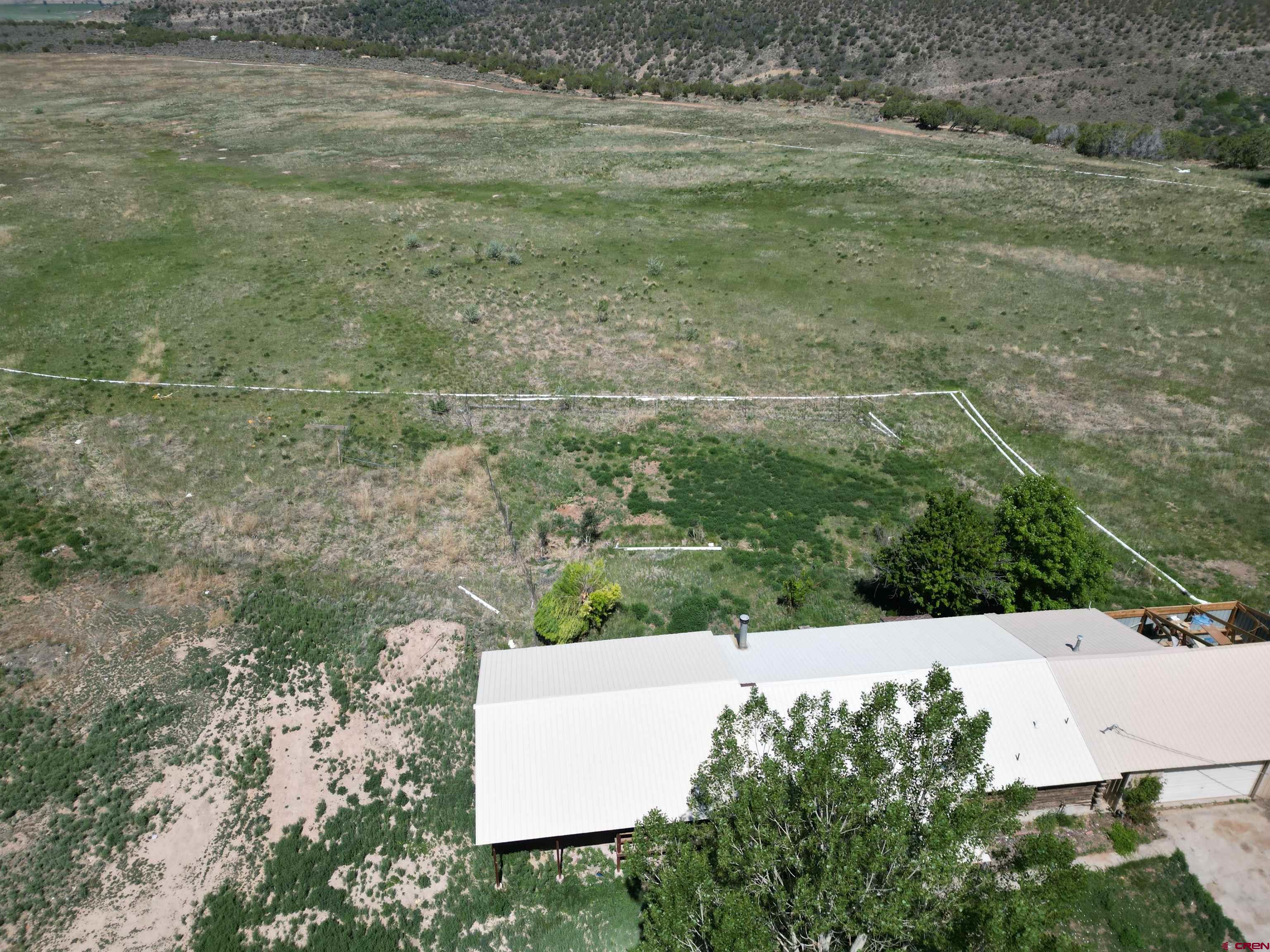 26563 Redlands Mesa Road Hotchkiss, CO 81419 - Photo 9 of 14 a view of a field with an tree