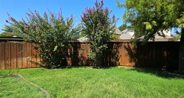 a view of backyard with potted plants and a large tree