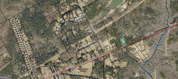 a close up of a tree with of plants