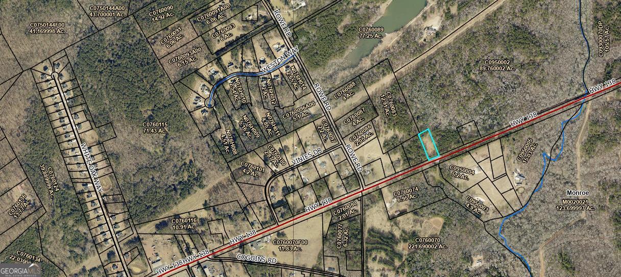 a close up of a tree with of plants