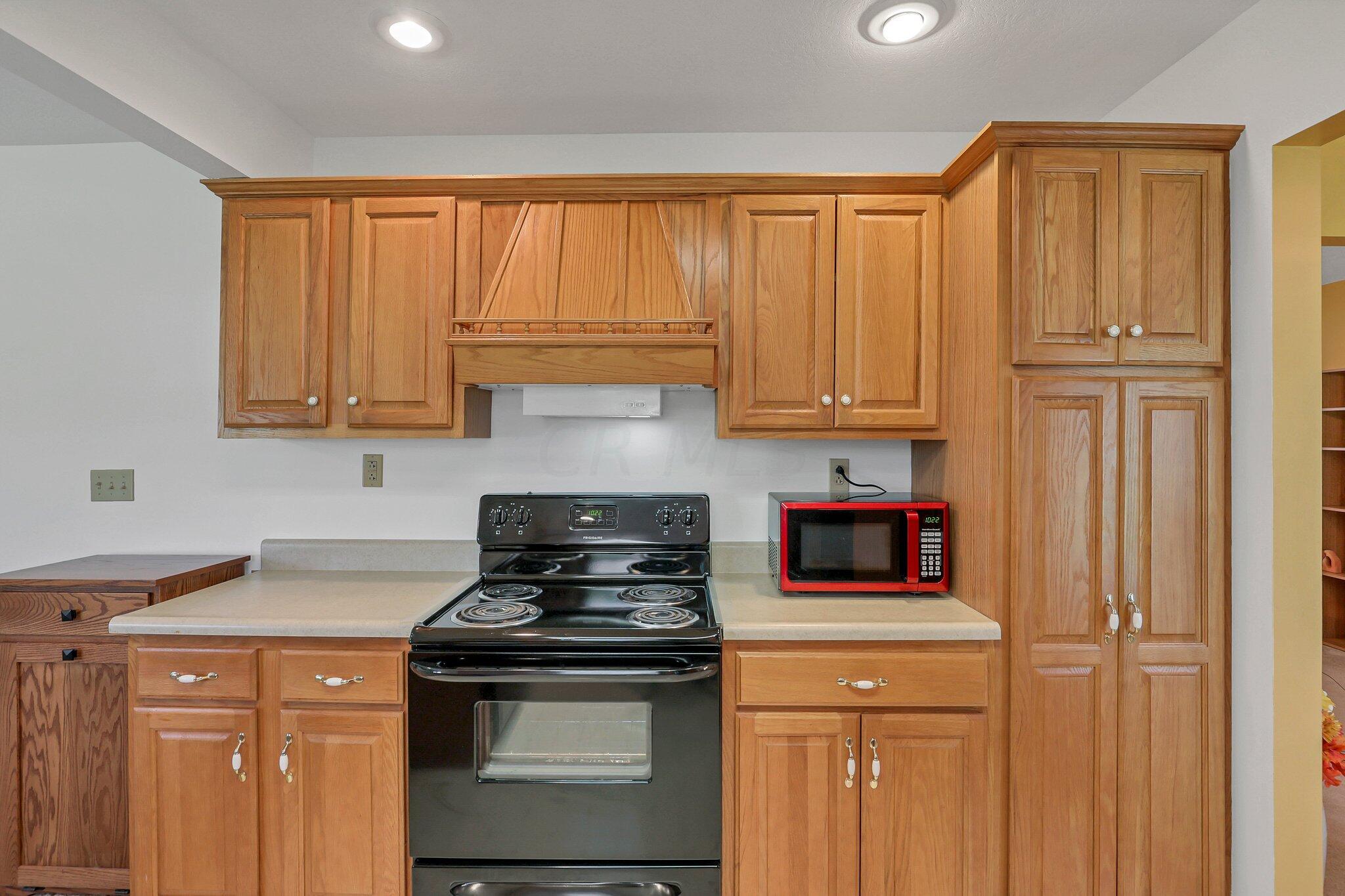 12175 Downing Road Croton, OH 43013 - Photo 17 of 49 18-web-or-mls-0N4A3983