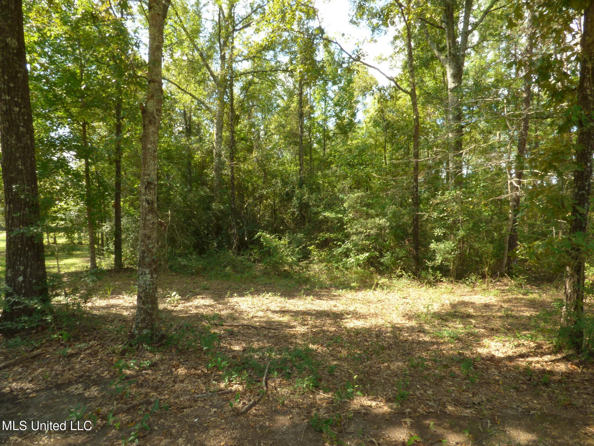 Boyd Road Tylertown, MS 39667 - Photo 3 of 3 P1330677