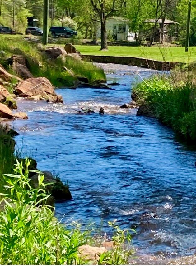 504 Greens Creek Road Sylva, NC 28779 - Photo 47 of 47 a view of a garden with plants