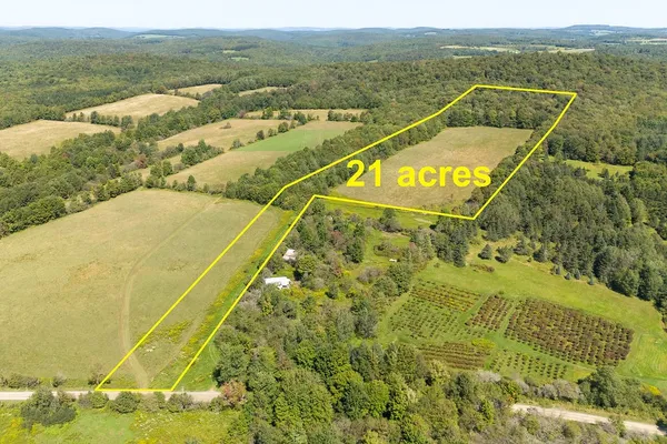 $150,000 | Lot 11 Warren Road, Treadwell, NY 13846