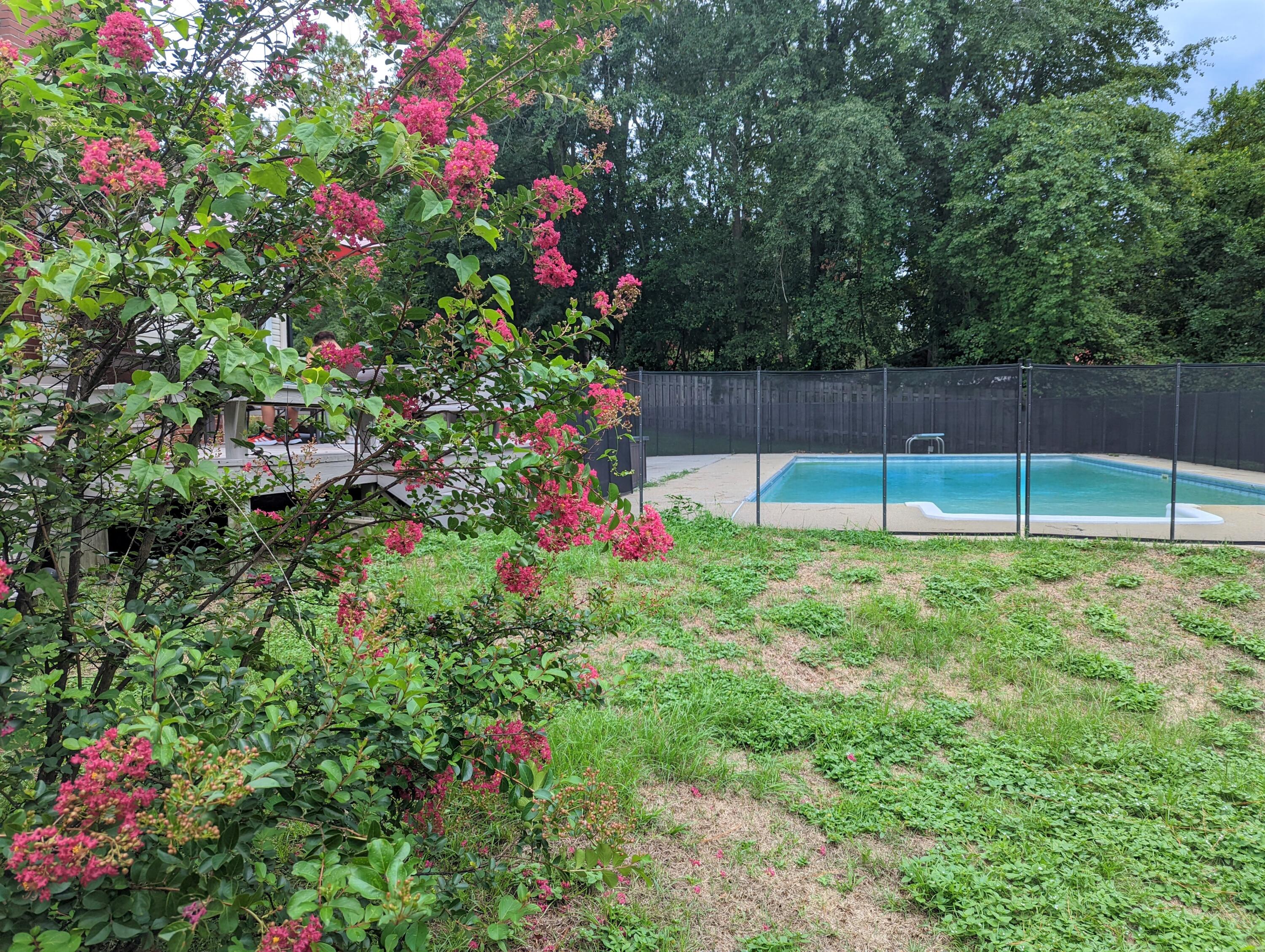 808 Kalmia Hill Road Aiken, SC 29801 - Photo 29 of 29 kal pool fl