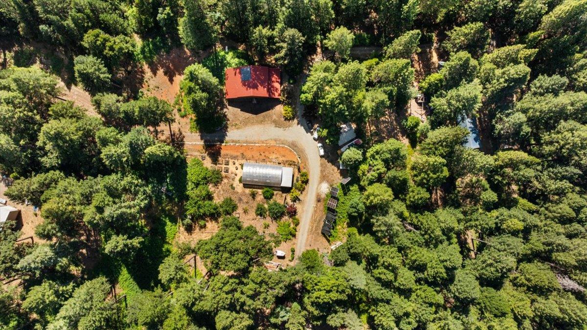 17607 Hooker Oak Road Nevada City, CA 95959 - Photo 36 of 38