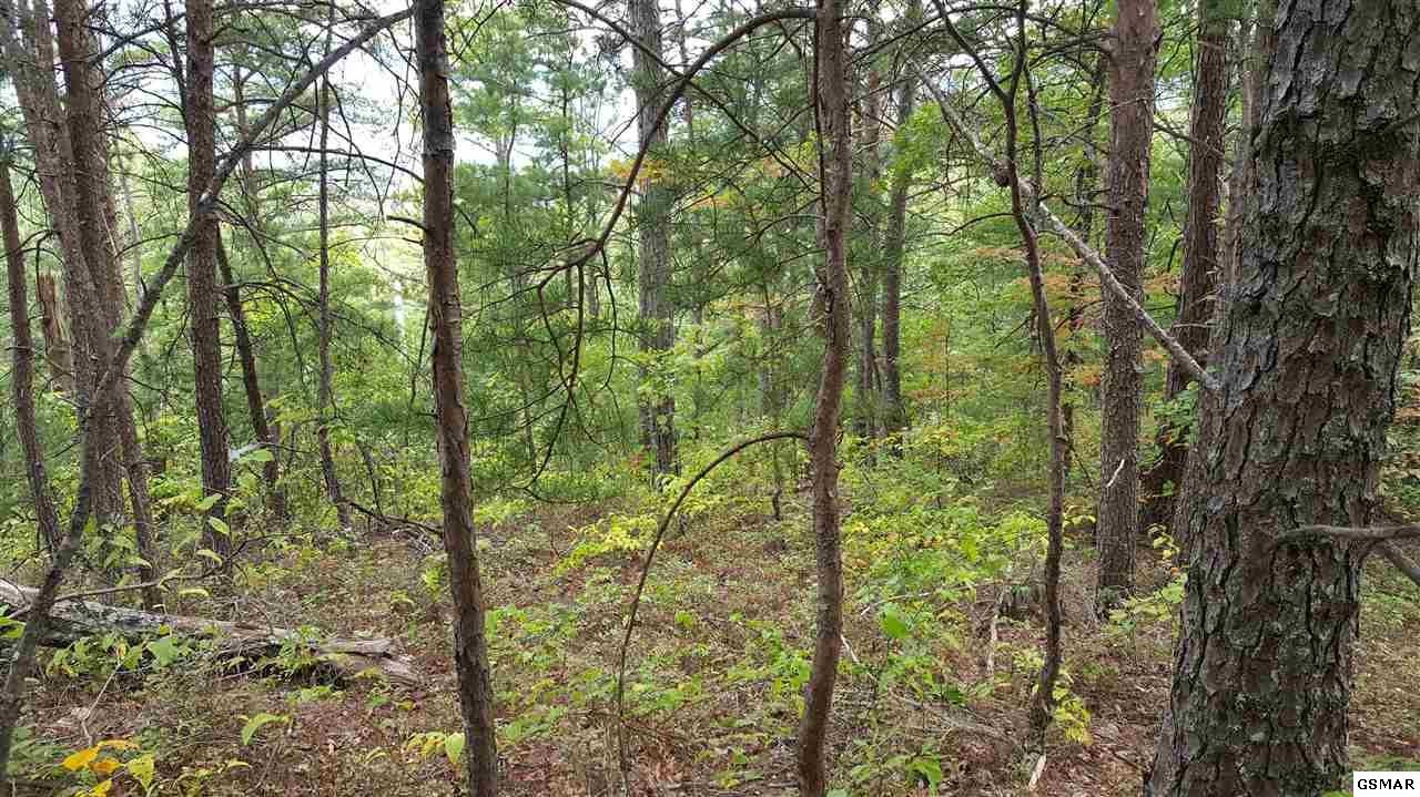 32 Hatcher Mountain Road Sevierville, TN 37862 - Photo 15 of 16