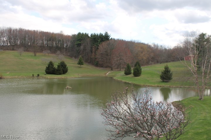 22000 Ireland Road Howard, OH 43028 - Photo 15 of 25