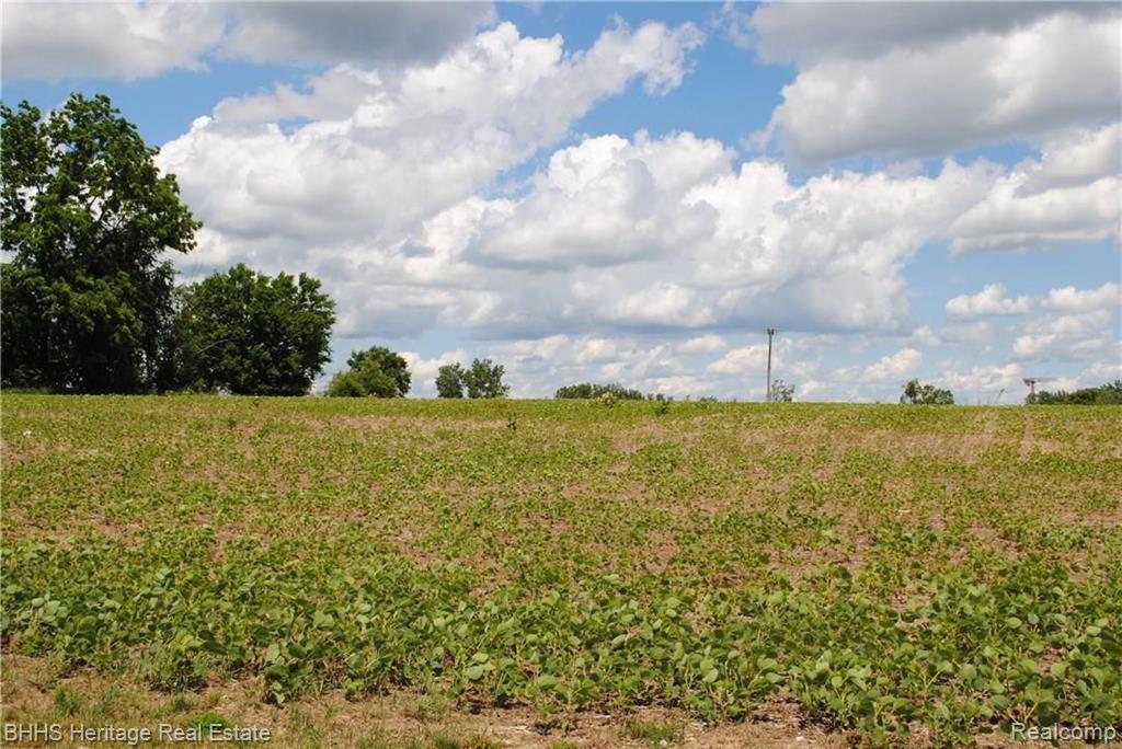 Vl Oak Grove Road Howell, MI 48855 - Photo 2 of 4
