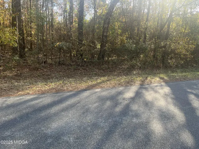 a view of a yard with trees in the background