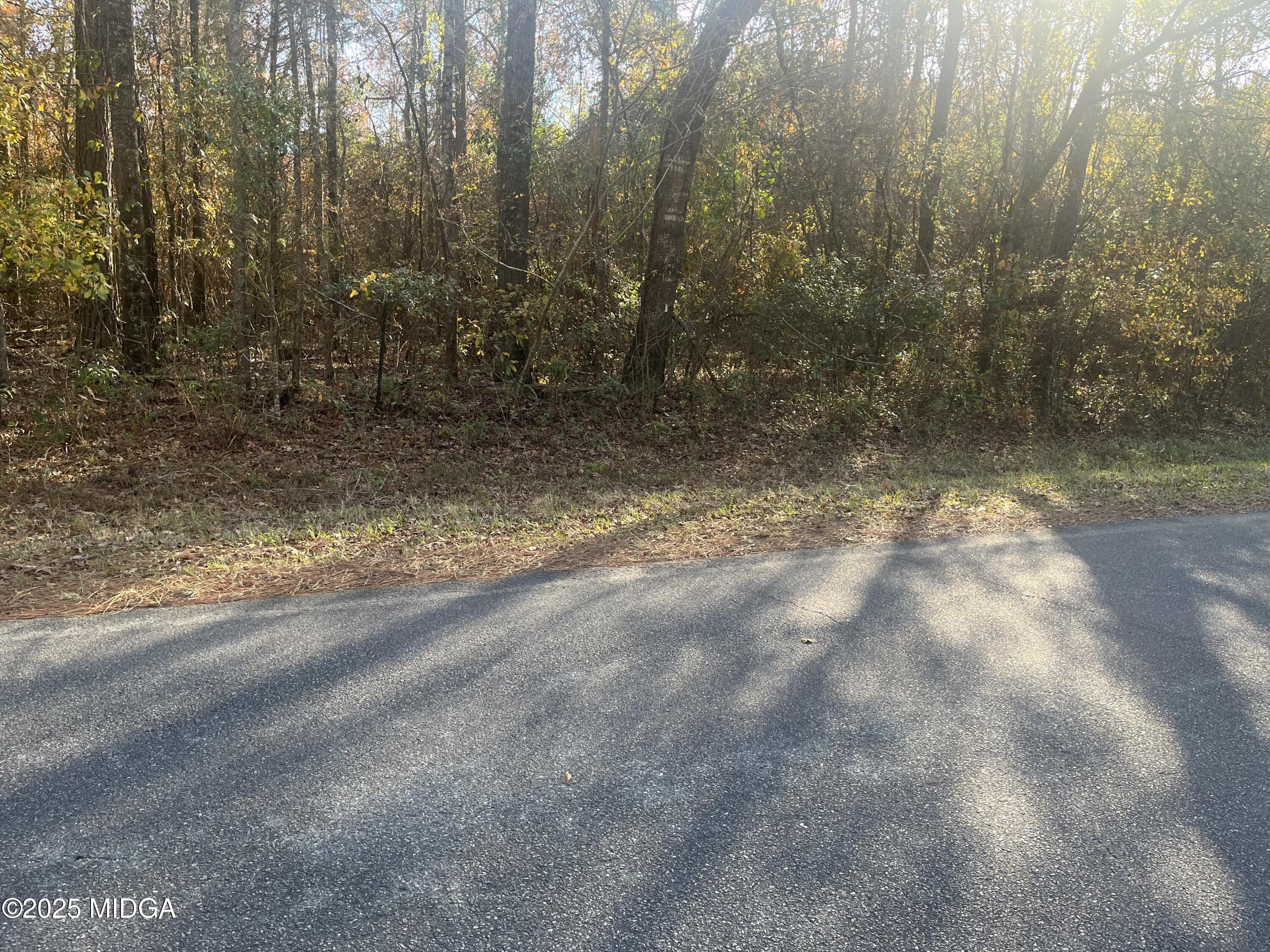 a view of a yard with trees in the background
