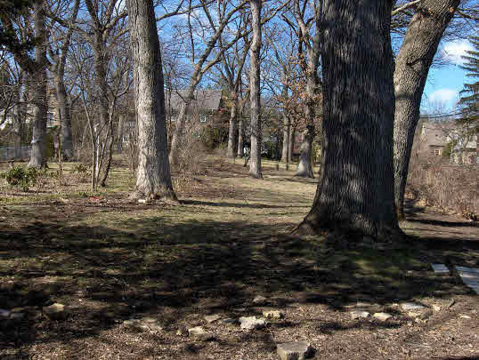 2126 Rural Street Rockford, IL 61107 - Photo 3 of 6 a view of a yard with trees