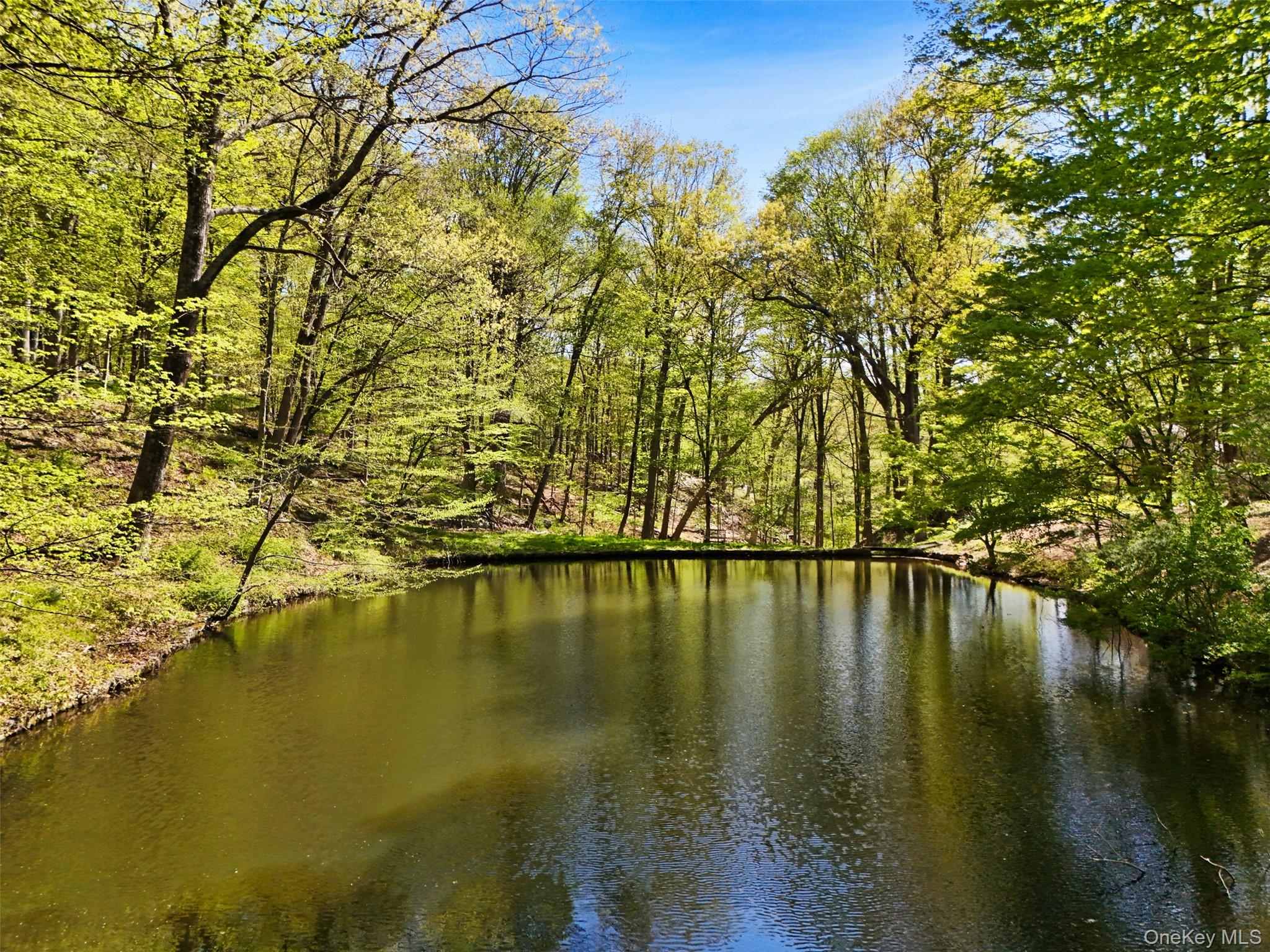 334 Pine Brook Road Pound Ridge, NY 10506 - Photo 26 of 28 a view of swimming pool with outdoor space