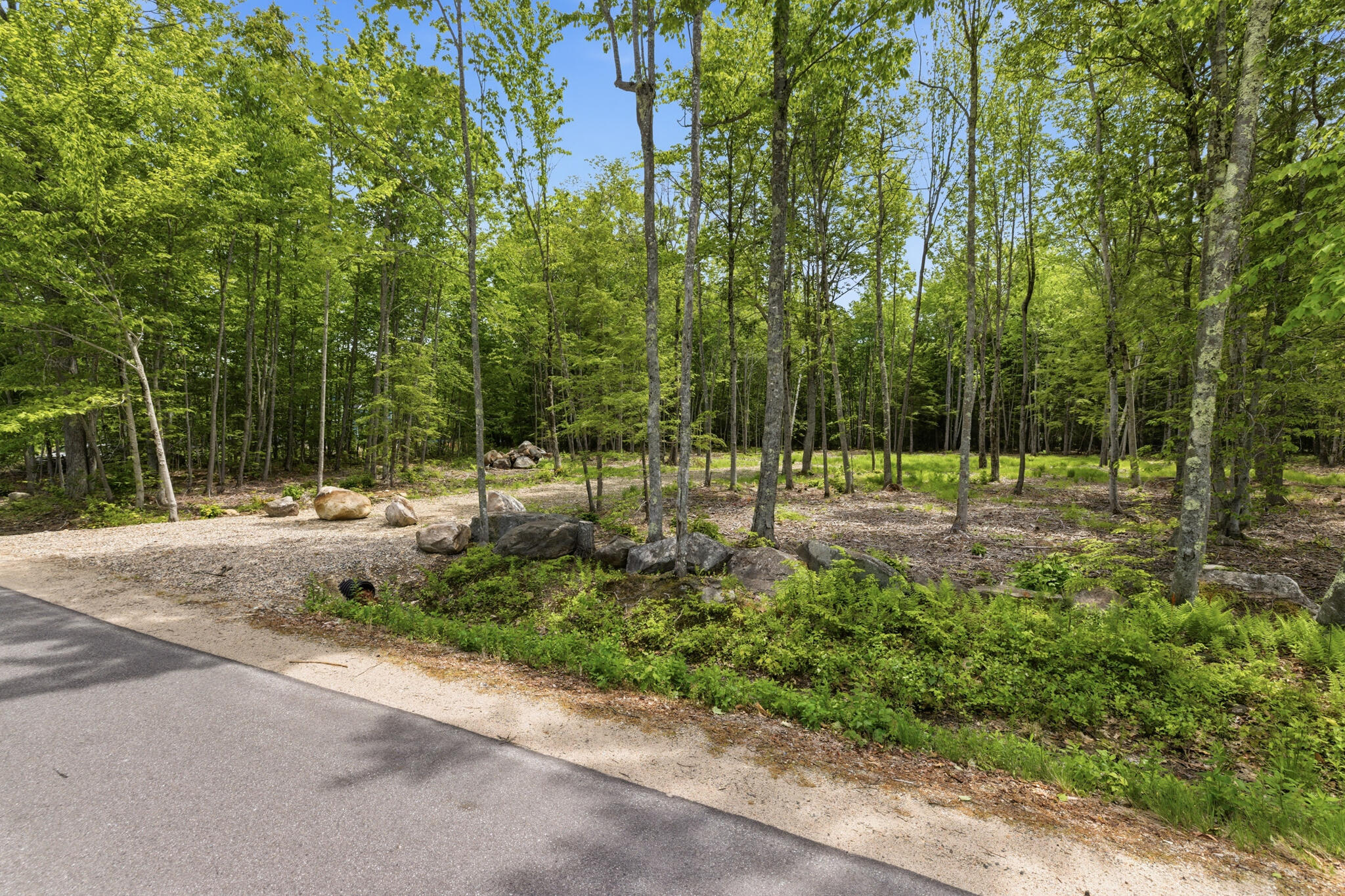0 Buzzell Road Acton, ME 04001 - Photo 13 of 17 27