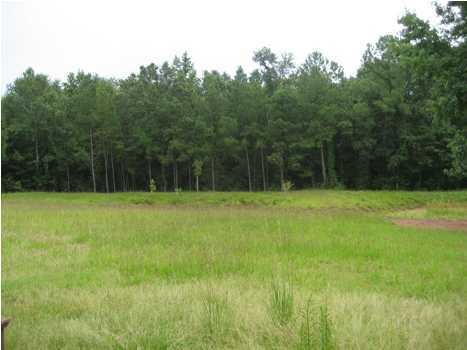876 George Montgomery Road DeFuniak Springs, FL 32435 - Photo 19 of 19 Additional Photo
