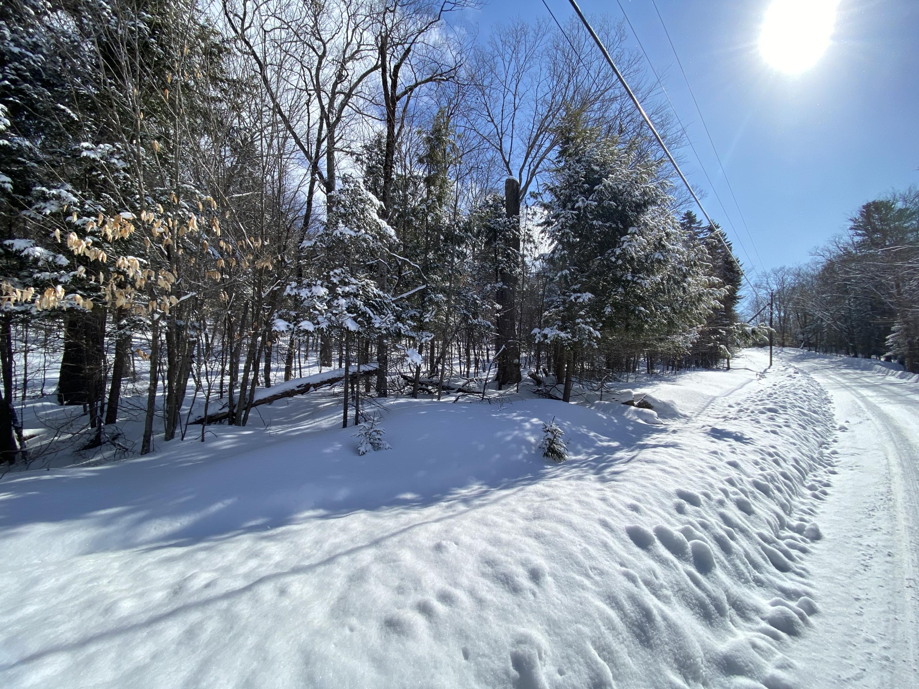 Lot 11 Black Point Road Beaver Cove, ME 04441 - Photo 6 of 13 IMG-9623