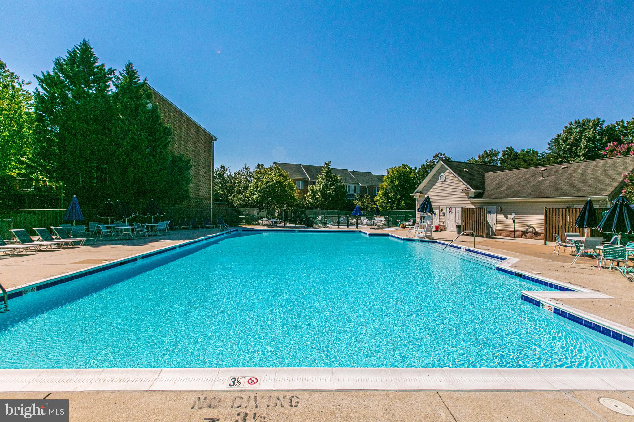 6235 Levi Court Springfield, VA 22150 - Photo 3 of 5 Pool