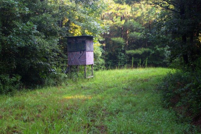 Xxx Fenn Road Smithdale, MS 39664 - Photo 1 of 1 Main View