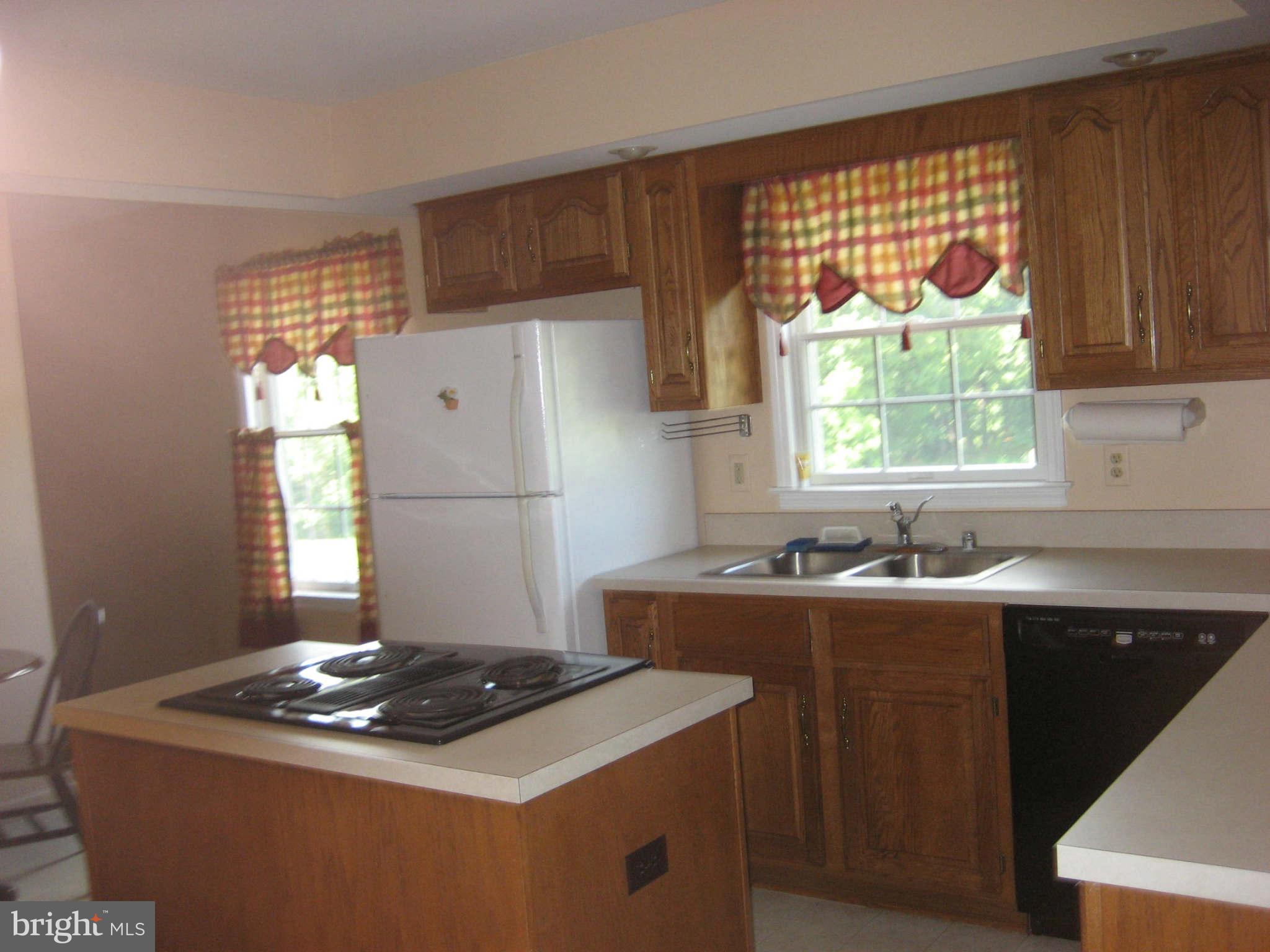 7322 Dudie Road Marshall, VA 20115 - Photo 4 of 30 Kitchen