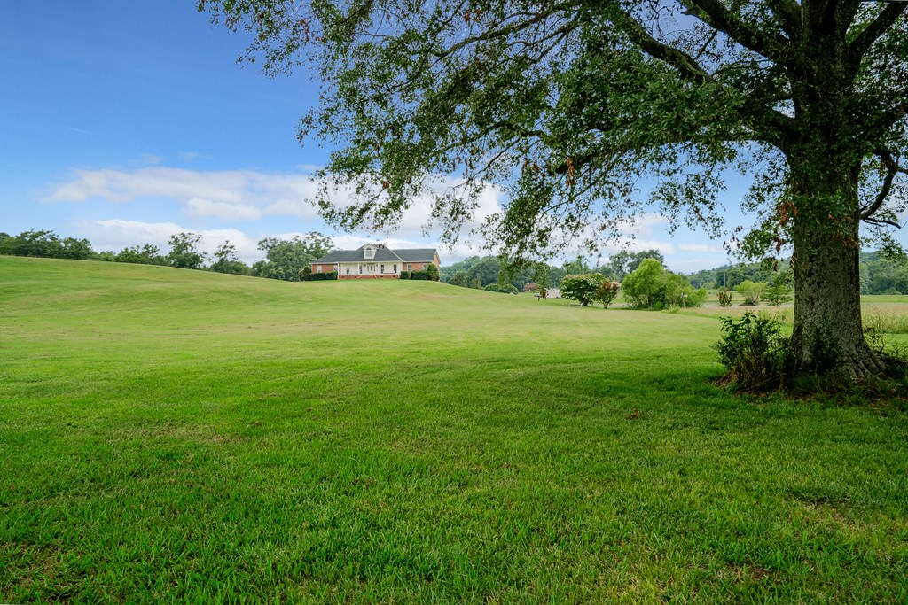 3100 Greeson Bend Road Chatsworth, GA 30705 - Photo 4 of 68 Gallery Image 4