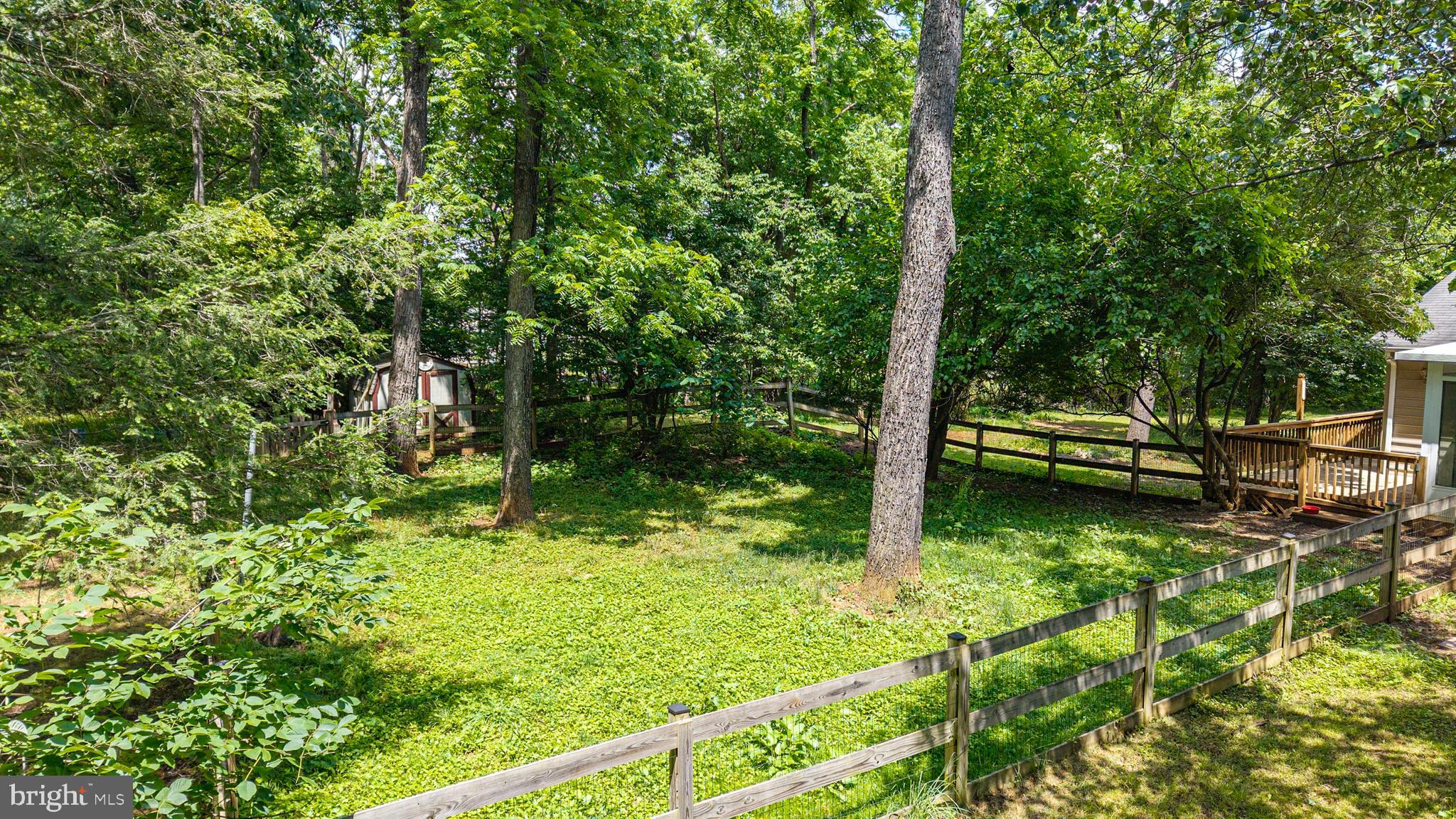 513 Russell Road Berryville, VA 22611 - Photo 36 of 53 Large fenced yard for animals,children, or garden