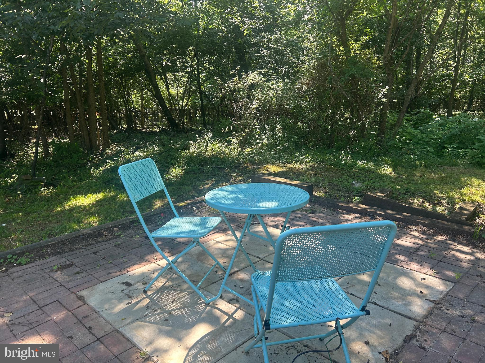 513 Russell Road Berryville, VA 22611 - Photo 38 of 53 Private patio