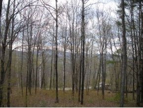 1495 North Groton Road Rumney, NH 03266 - Photo 8 of 8 Gallery Image 8