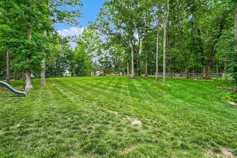 a view of a backyard with large trees