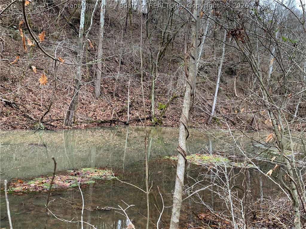 911 Lick Branch Road Poca, WV 25159 - Photo 21 of 24 Gallery Image 21