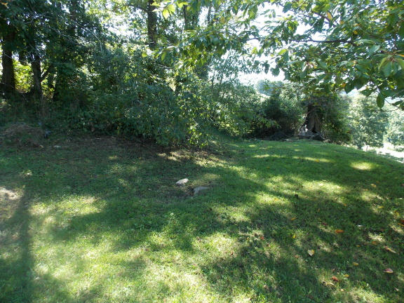 0 Alum Ridge Road Northwest Riner, VA 24149 - Photo 18 of 18 a view of yard with green space