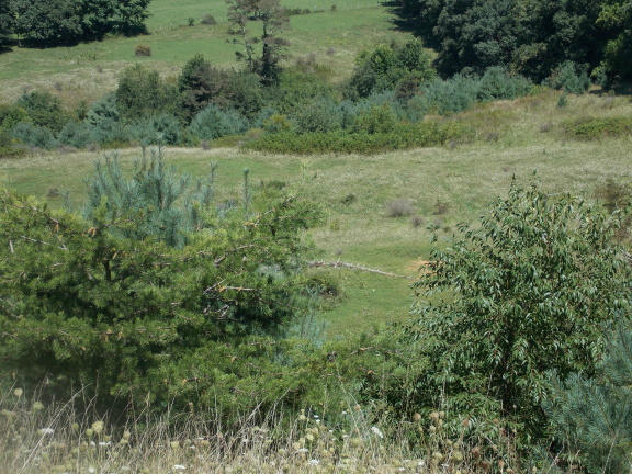 0 Alum Ridge Road Northwest Riner, VA 24149 - Photo 3 of 18 a view of a field of grass and trees