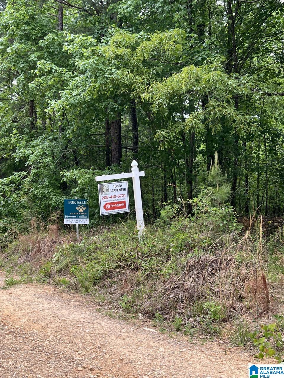 Sunhill Drive Remlap, AL 35133 - Photo 1 of 7