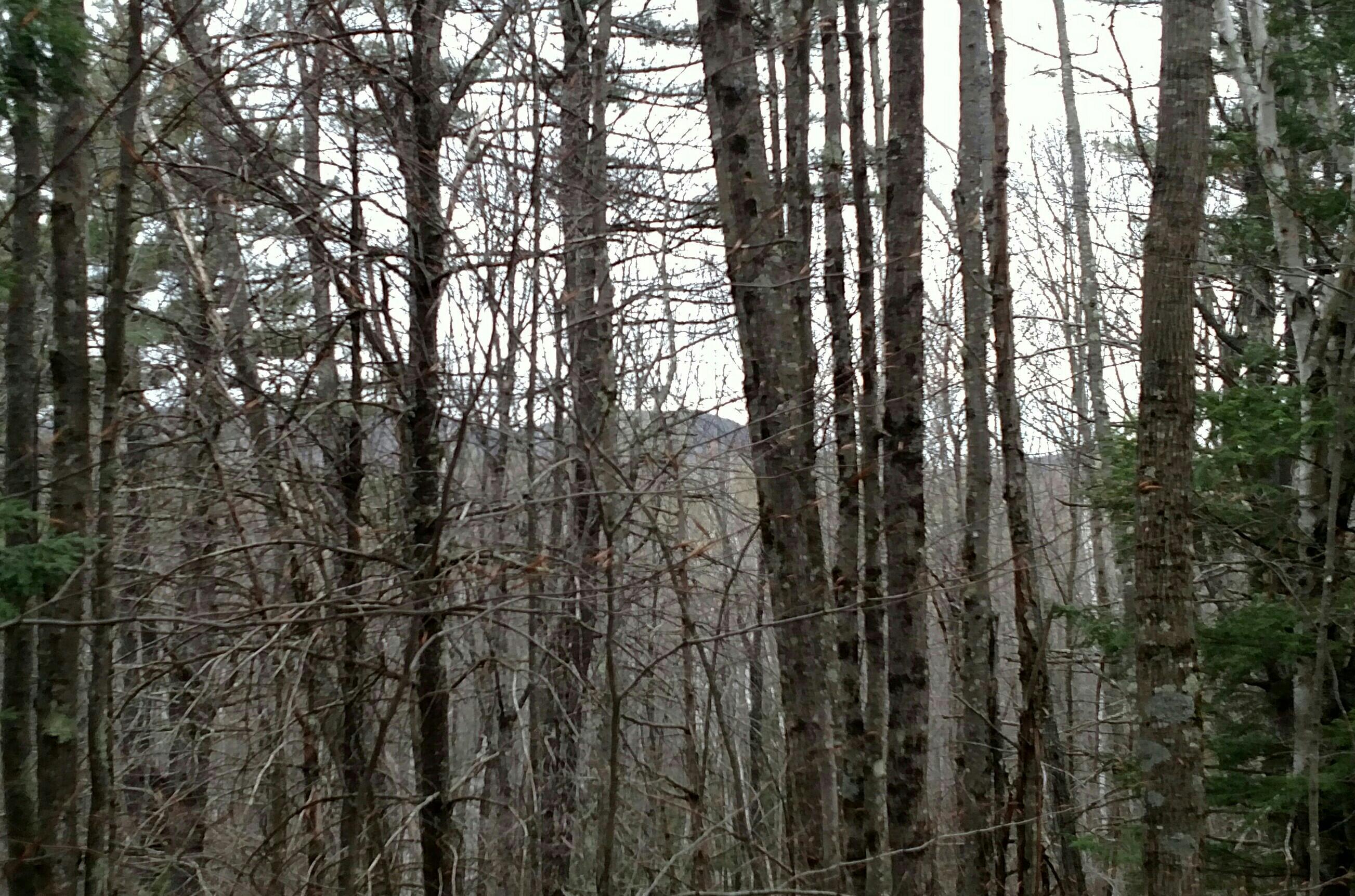93 Rohr Road Limerick, ME 04048 - Photo 7 of 10 mountain view zoom