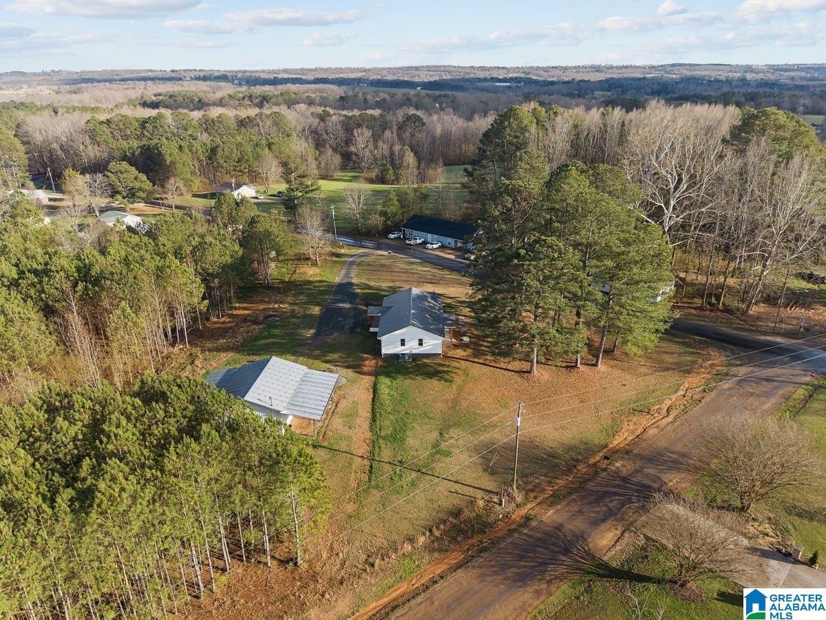 407 Wilson Chapel Road Oneonta, AL 35121 - Photo 34 of 37