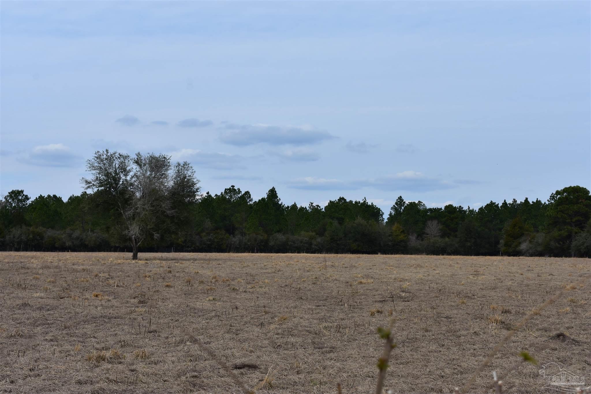 0 Pat Brown Road Milton, FL 32570 - Photo 2 of 30 Gallery Image 2
