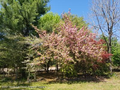 180 Jackson Mills Road Jackson, NJ 08527 - Photo 53 of 54 thumbnail
