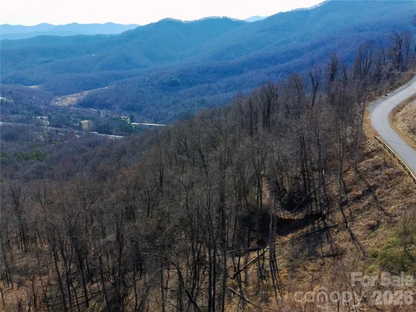 a view of a lot of trees and bushes