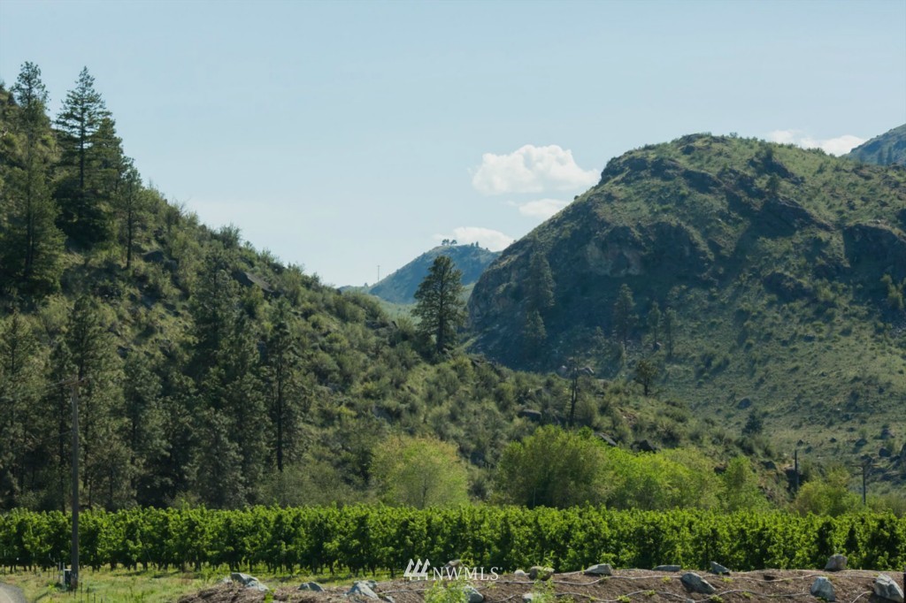 132 Apple Acres Road Chelan, WA 98816 - Photo 15 of 15 Gallery Image 15