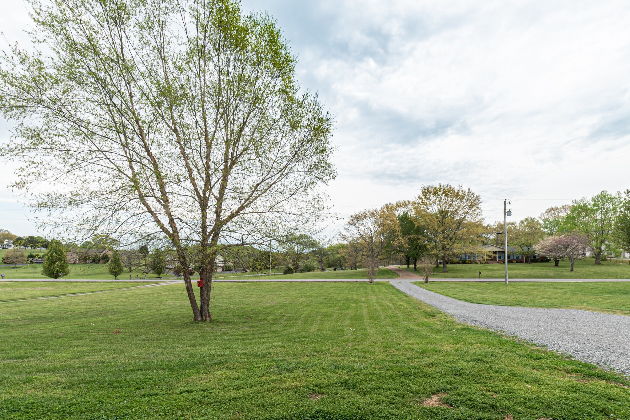 1898 Belotes Ferry Road Lebanon, TN 37087 - Photo 3 of 26 a view of a park with trees and a big trees