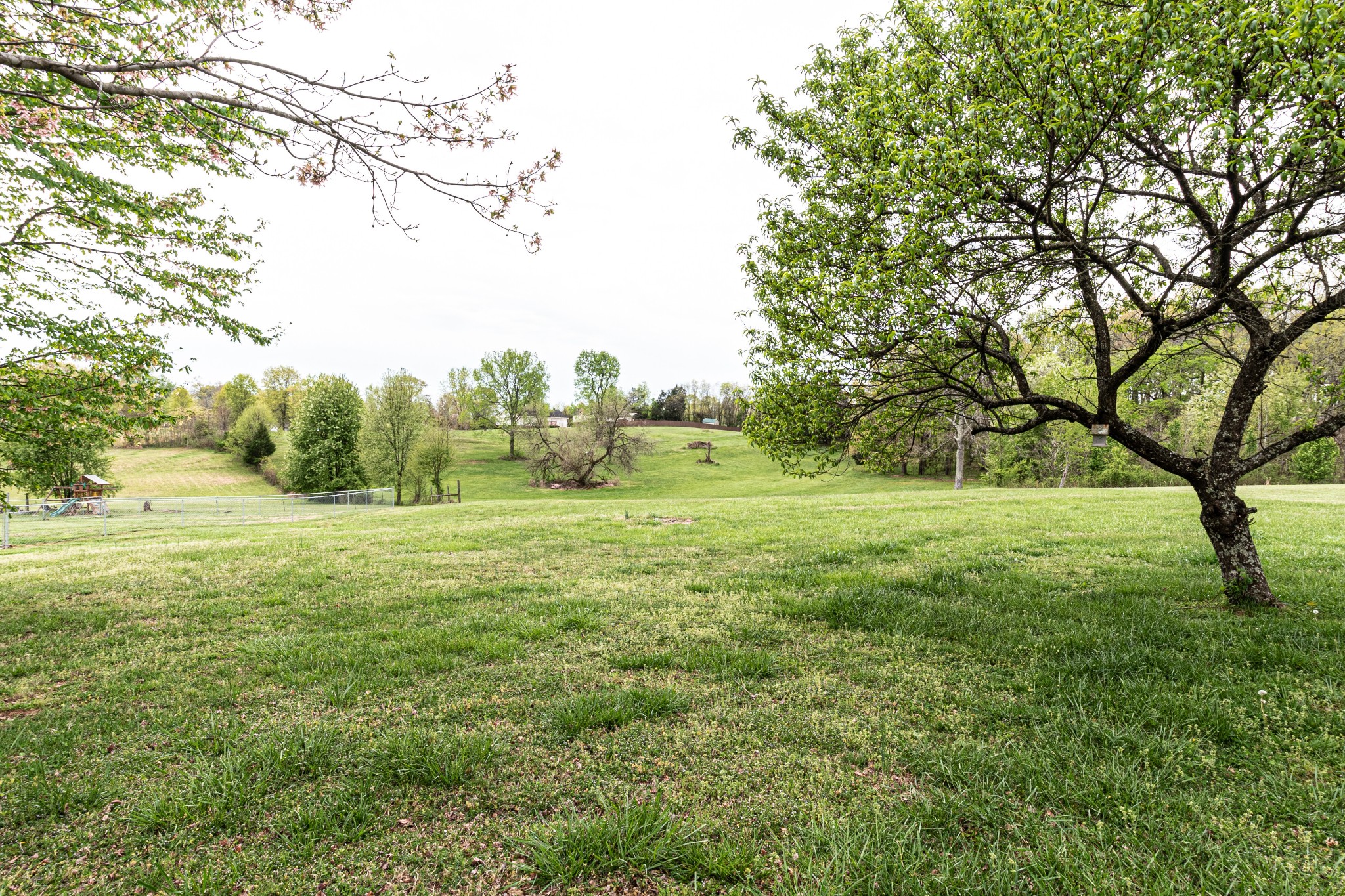 1898 Belotes Ferry Road Lebanon, TN 37087 - Photo 26 of 26 a big yard with lots of green space and trees