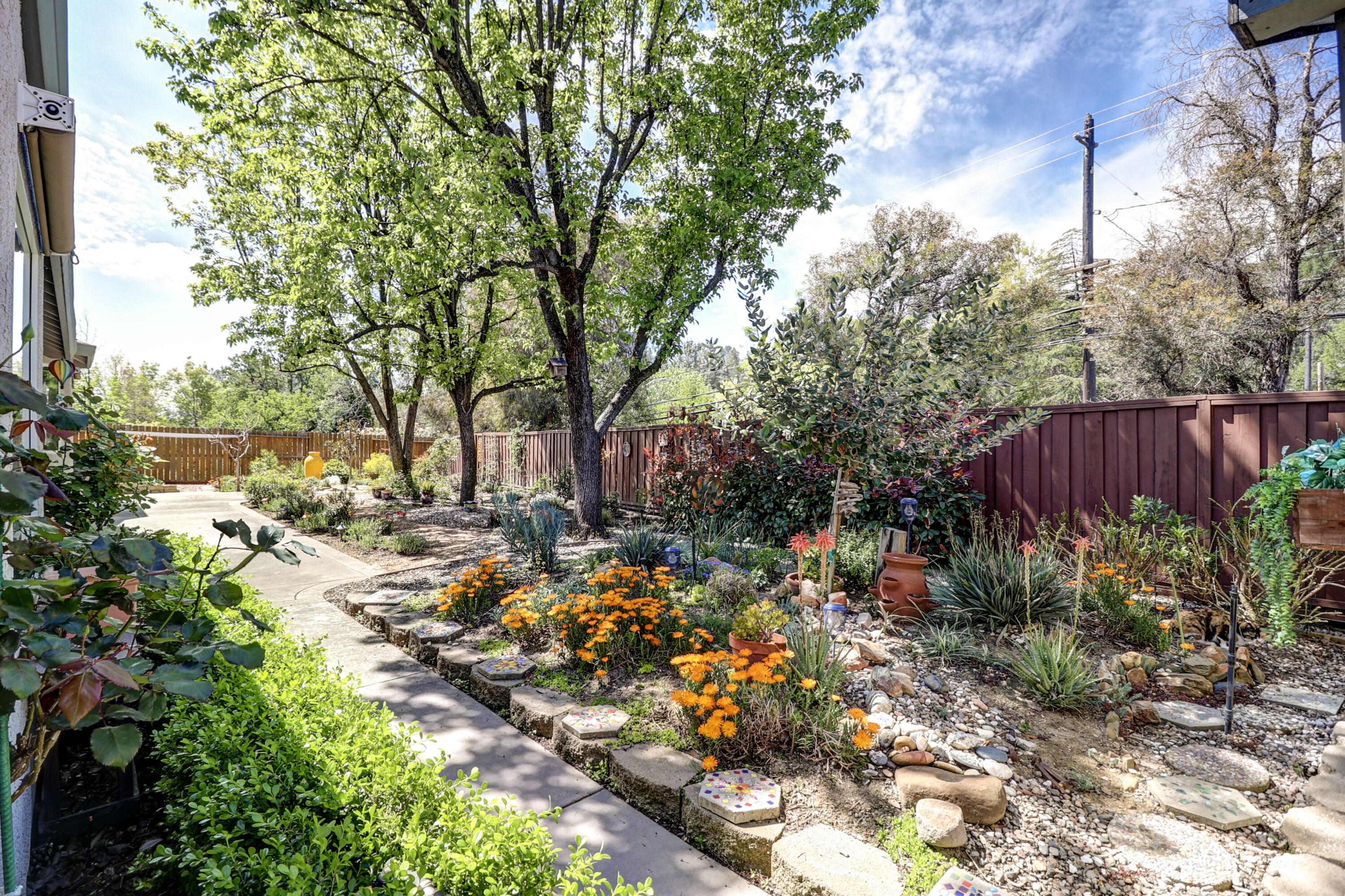 2210 Drexel Way Redding, CA 96001 - Photo 44 of 57 a view of a backyard