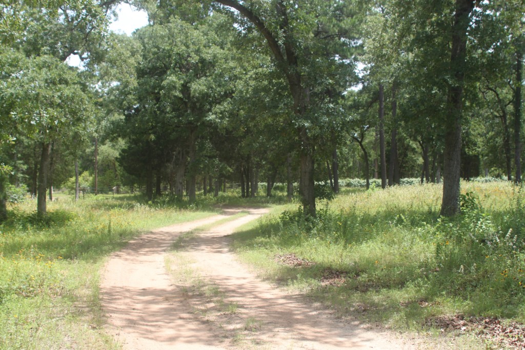 1050 Gotier Trace Road Paige, TX 78659 - Photo 1 of 1 Gallery Image 1