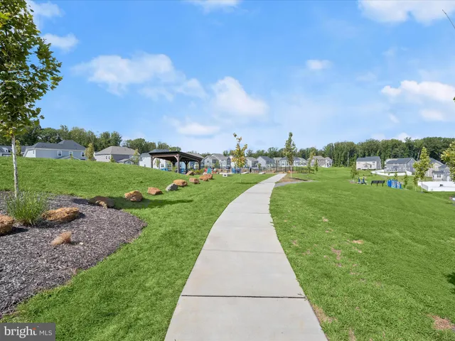 a view of a park with many windows